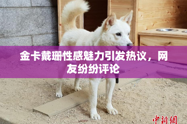 金卡戴珊性感魅力引发热议，网友纷纷评论