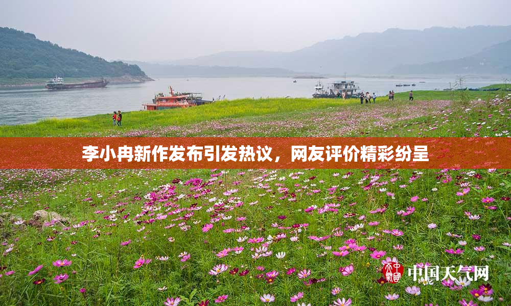 李小冉新作发布引发热议，网友评价精彩纷呈