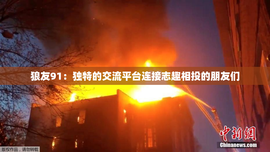 狼友91：独特的交流平台连接志趣相投的朋友们