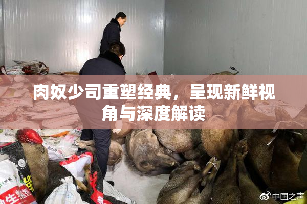肉奴少司重塑经典，呈现新鲜视角与深度解读