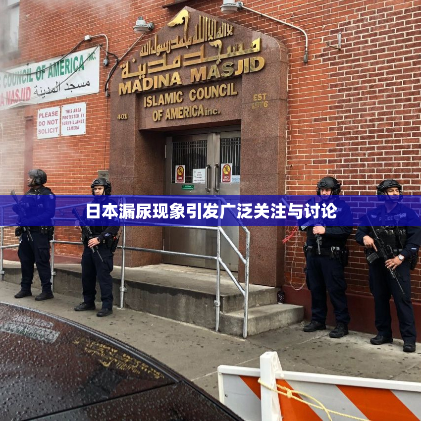 日本漏尿现象引发广泛关注与讨论