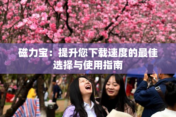 磁力宝：提升您下载速度的最佳选择与使用指南