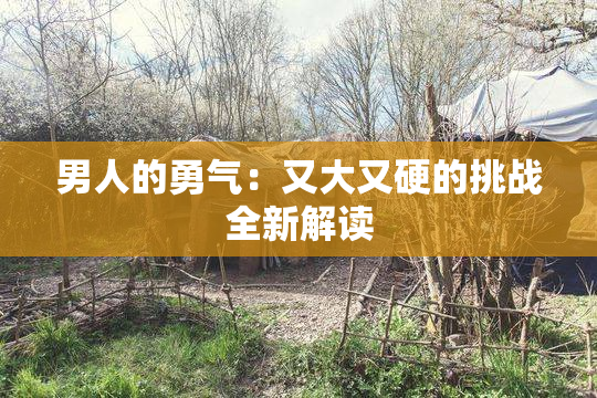 男人的勇气：又大又硬的挑战全新解读