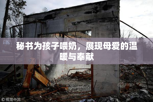 秘书为孩子喂奶，展现母爱的温暖与奉献