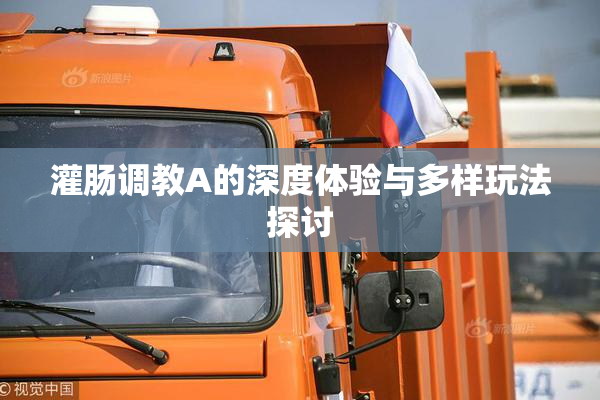 灌肠调教A的深度体验与多样玩法探讨