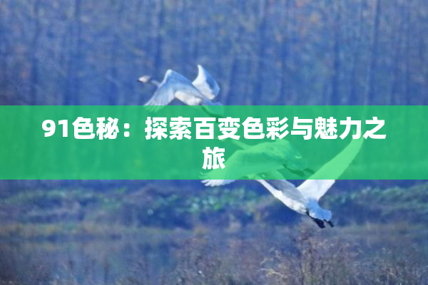 91色秘：探索百变色彩与魅力之旅