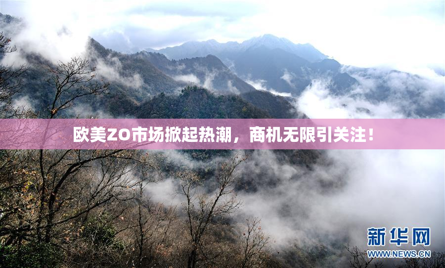 欧美ZO市场掀起热潮，商机无限引关注！