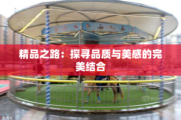 精品之路：探寻品质与美感的完美结合