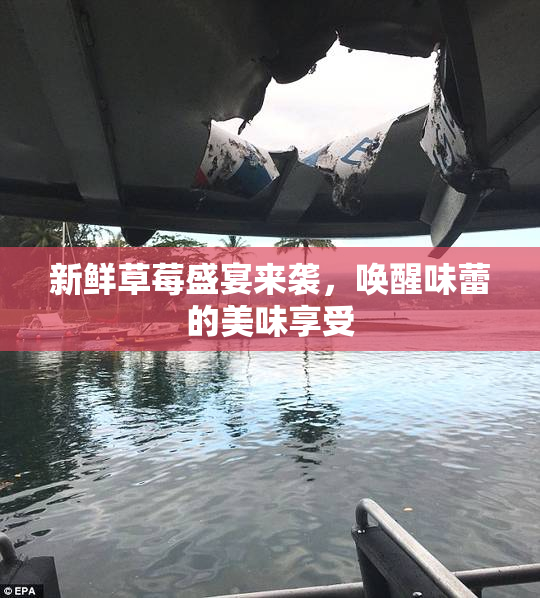 新鲜草莓盛宴来袭，唤醒味蕾的美味享受