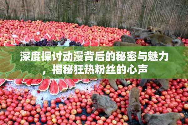 深度探讨动漫背后的秘密与魅力，揭秘狂热粉丝的心声