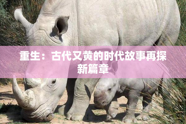 重生：古代又黄的时代故事再探新篇章