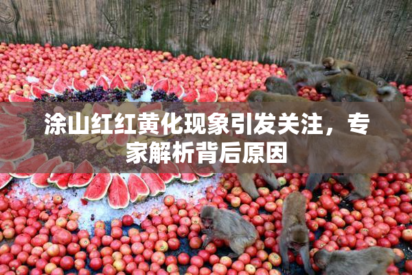 涂山红红黄化现象引发关注，专家解析背后原因