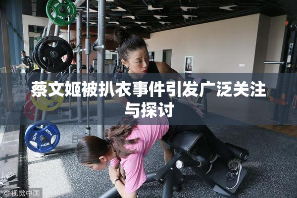 蔡文姬被扒衣事件引发广泛关注与探讨