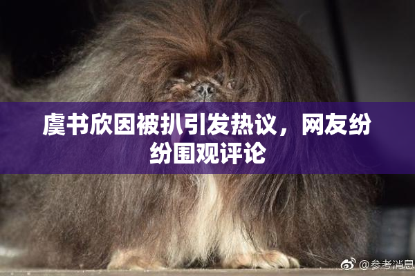 虞书欣因被扒引发热议，网友纷纷围观评论