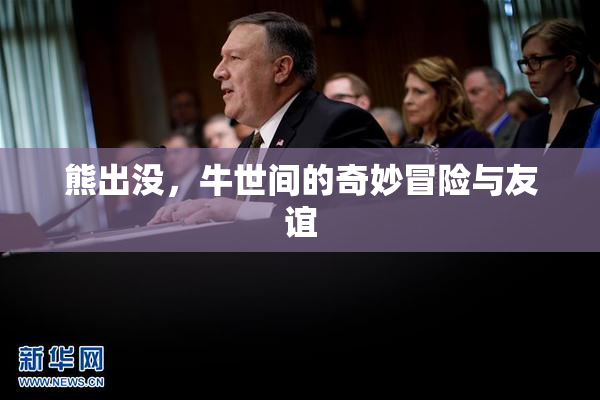 熊出没，牛世间的奇妙冒险与友谊