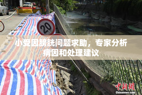 小受因膀胱问题求助，专家分析病因和处理建议