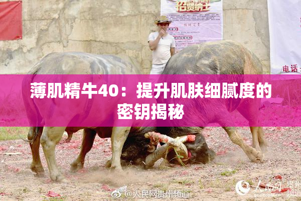 薄肌精牛40：提升肌肤细腻度的密钥揭秘