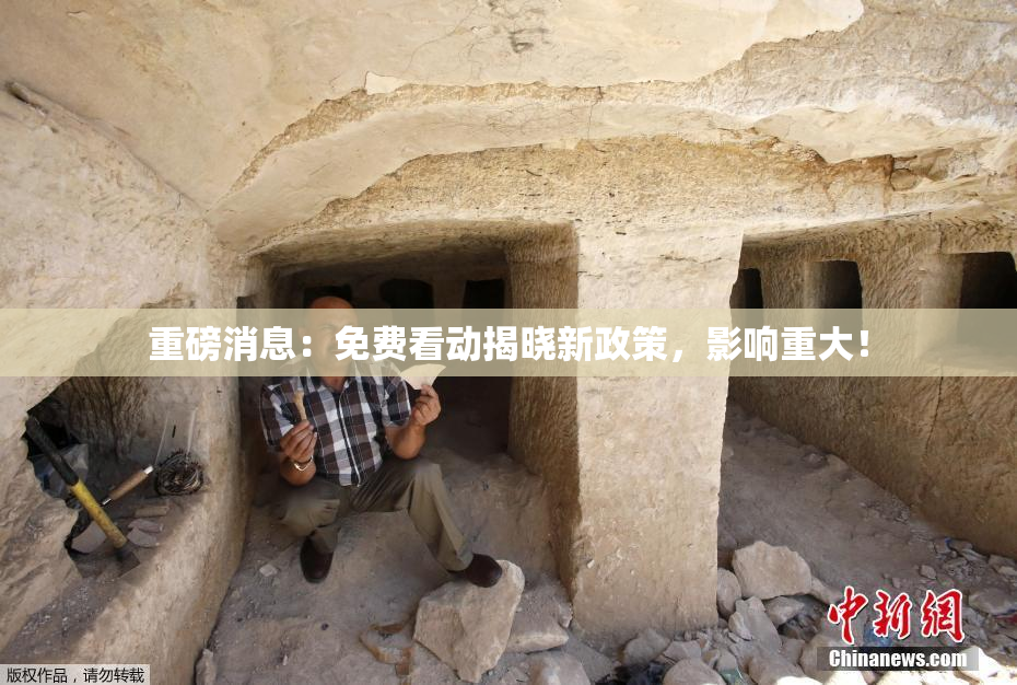 重磅消息：免费看动揭晓新政策，影响重大！