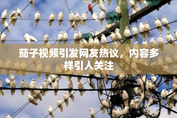 茄子视频引发网友热议，内容多样引人关注