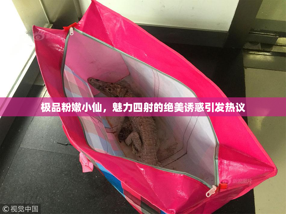 极品粉嫩小仙，魅力四射的绝美诱惑引发热议