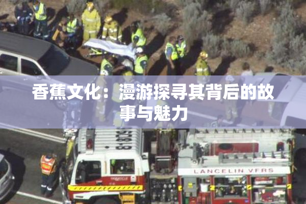 香蕉文化：漫游探寻其背后的故事与魅力