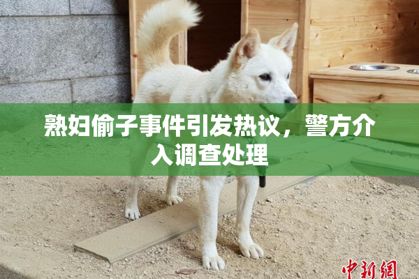 熟妇偷子事件引发热议，警方介入调查处理