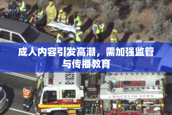 成人内容引发高潮，需加强监管与传播教育