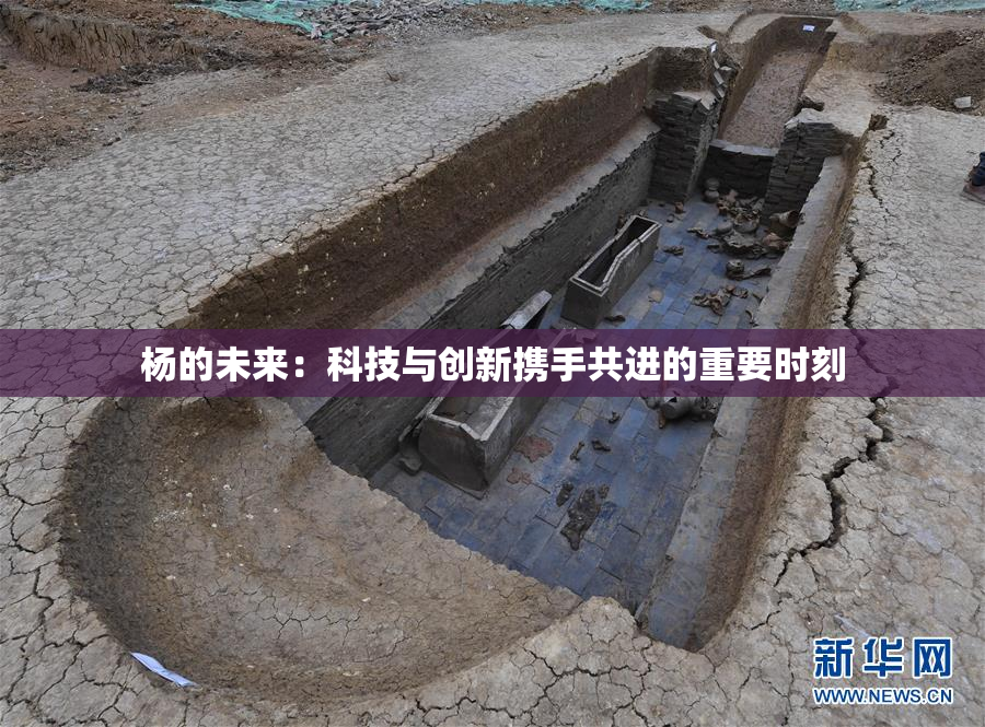 杨的未来：科技与创新携手共进的重要时刻