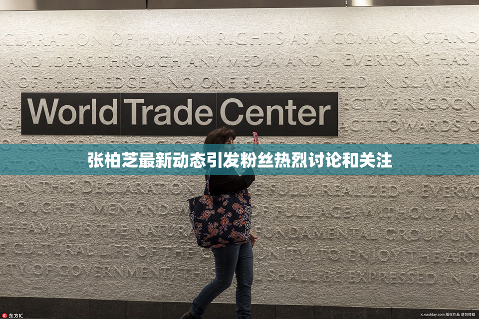张柏芝最新动态引发粉丝热烈讨论和关注