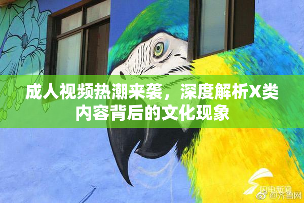 成人视频热潮来袭，深度解析X类内容背后的文化现象