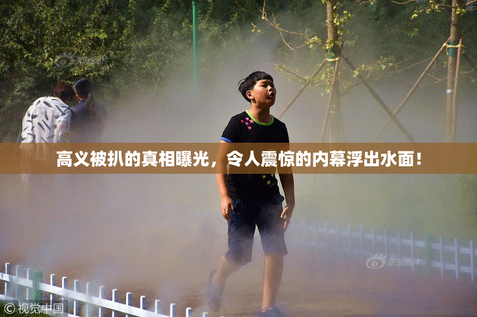 高义被扒的真相曝光，令人震惊的内幕浮出水面！