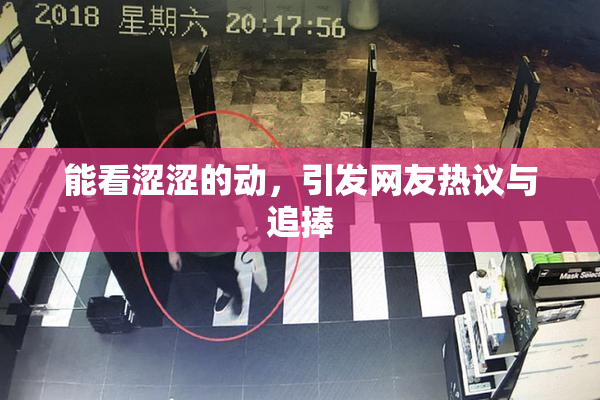 能看涩涩的动，引发网友热议与追捧