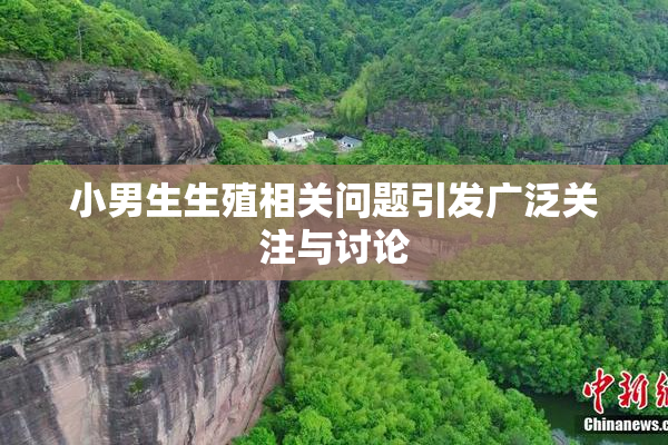 小男生生殖相关问题引发广泛关注与讨论