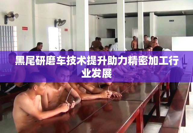 黑尾研磨车技术提升助力精密加工行业发展