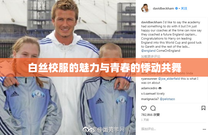 白丝校服的魅力与青春的悸动共舞