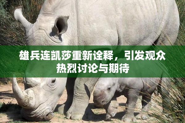 雄兵连凯莎重新诠释，引发观众热烈讨论与期待