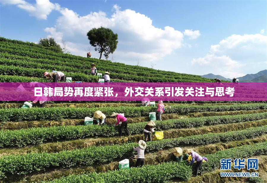 日韩局势再度紧张，外交关系引发关注与思考