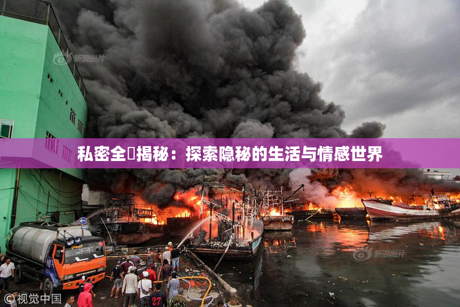 私密全婐揭秘：探索隐秘的生活与情感世界