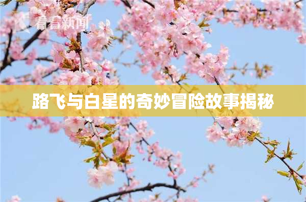 路飞与白星的奇妙冒险故事揭秘