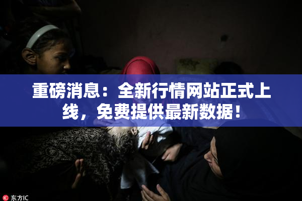 重磅消息：全新行情网站正式上线，免费提供最新数据！