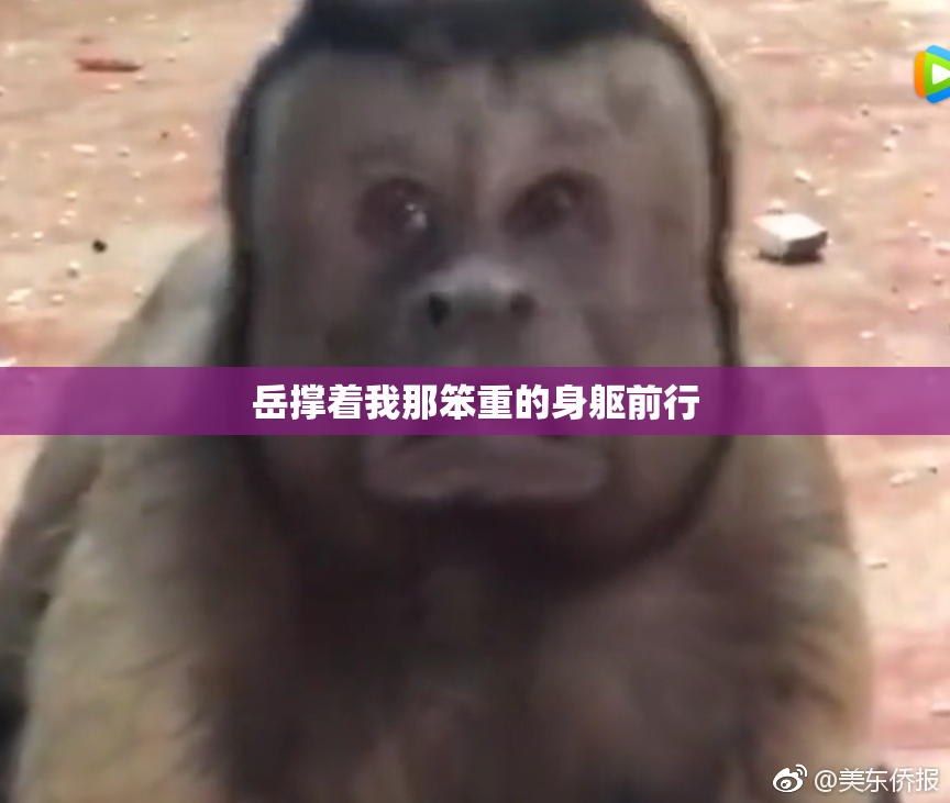 岳撑着我那笨重的身躯前行