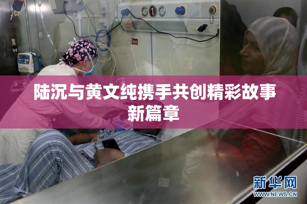 陆沉与黄文纯携手共创精彩故事新篇章