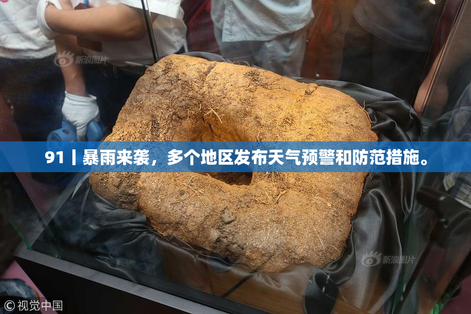 91丨暴雨来袭，多个地区发布天气预警和防范措施。