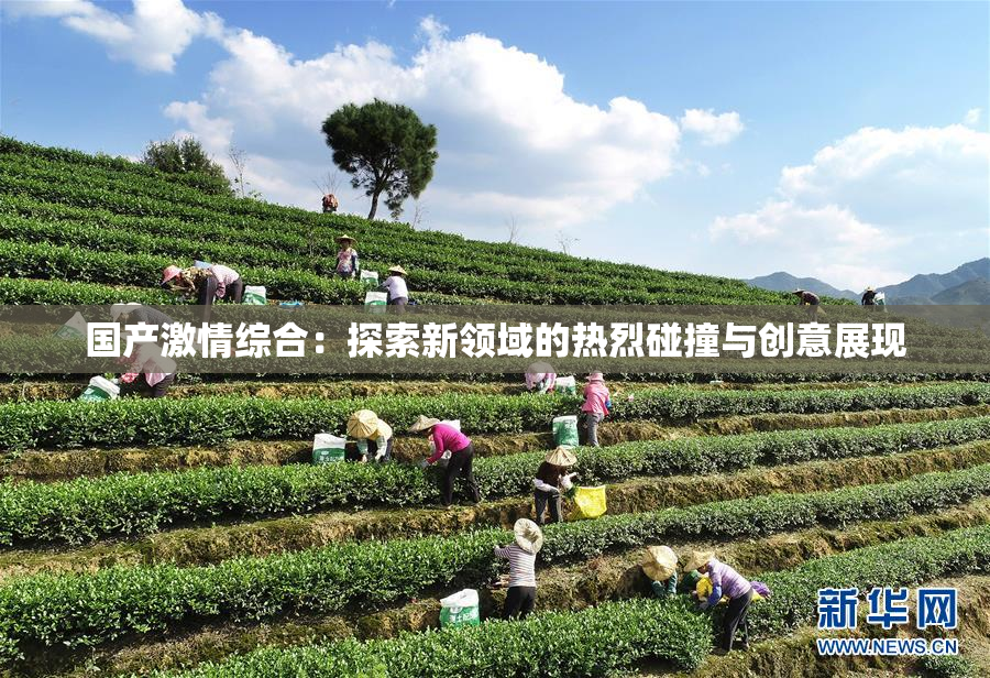 国产激情综合：探索新领域的热烈碰撞与创意展现