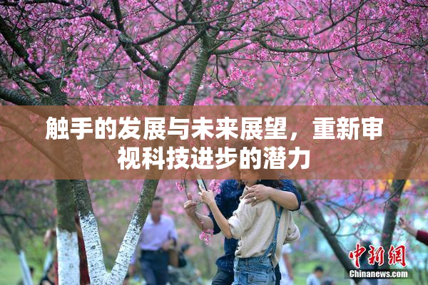 触手的发展与未来展望，重新审视科技进步的潜力