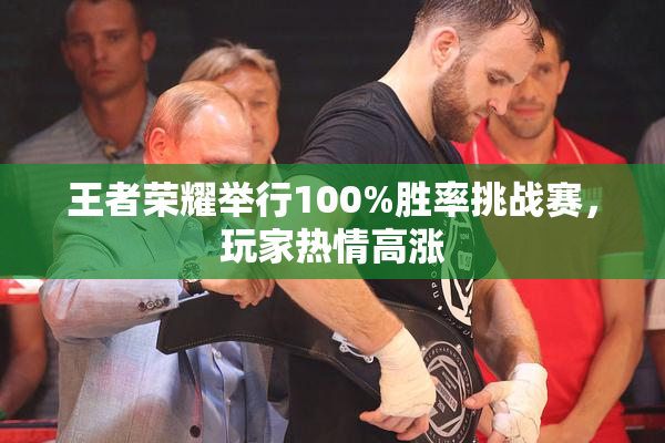 王者荣耀举行100%胜率挑战赛，玩家热情高涨