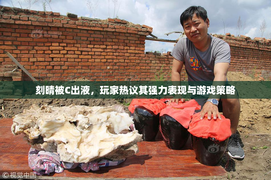 刻晴被C出液，玩家热议其强力表现与游戏策略