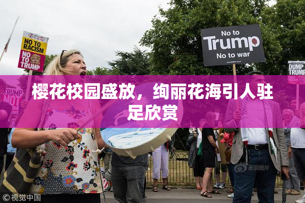 樱花校园盛放，绚丽花海引人驻足欣赏