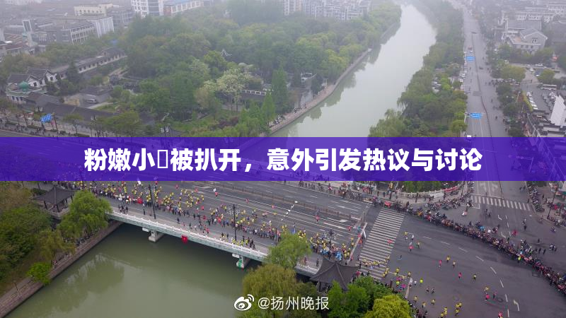 粉嫩小泬被扒开，意外引发热议与讨论
