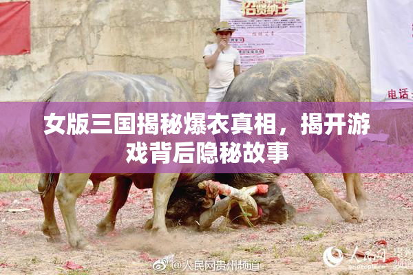 女版三国揭秘爆衣真相，揭开游戏背后隐秘故事